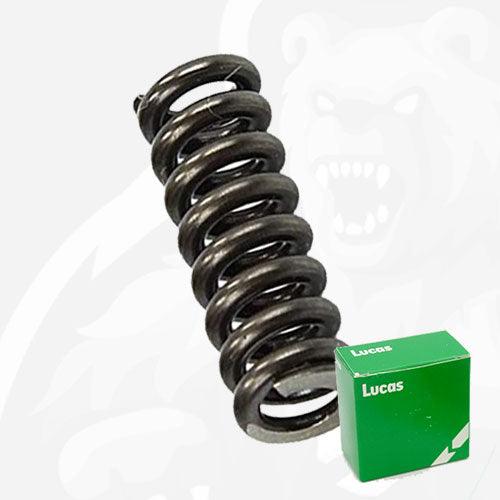 LDFG0290 Nozzle spring for Bosch common rail CR/IFL - California Diesel Shop