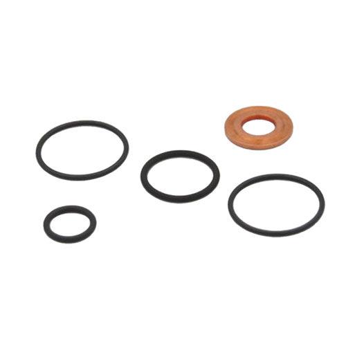 Seal Kit for Duramax® 0008 Diesel Fuel Injector - California Diesel Shop