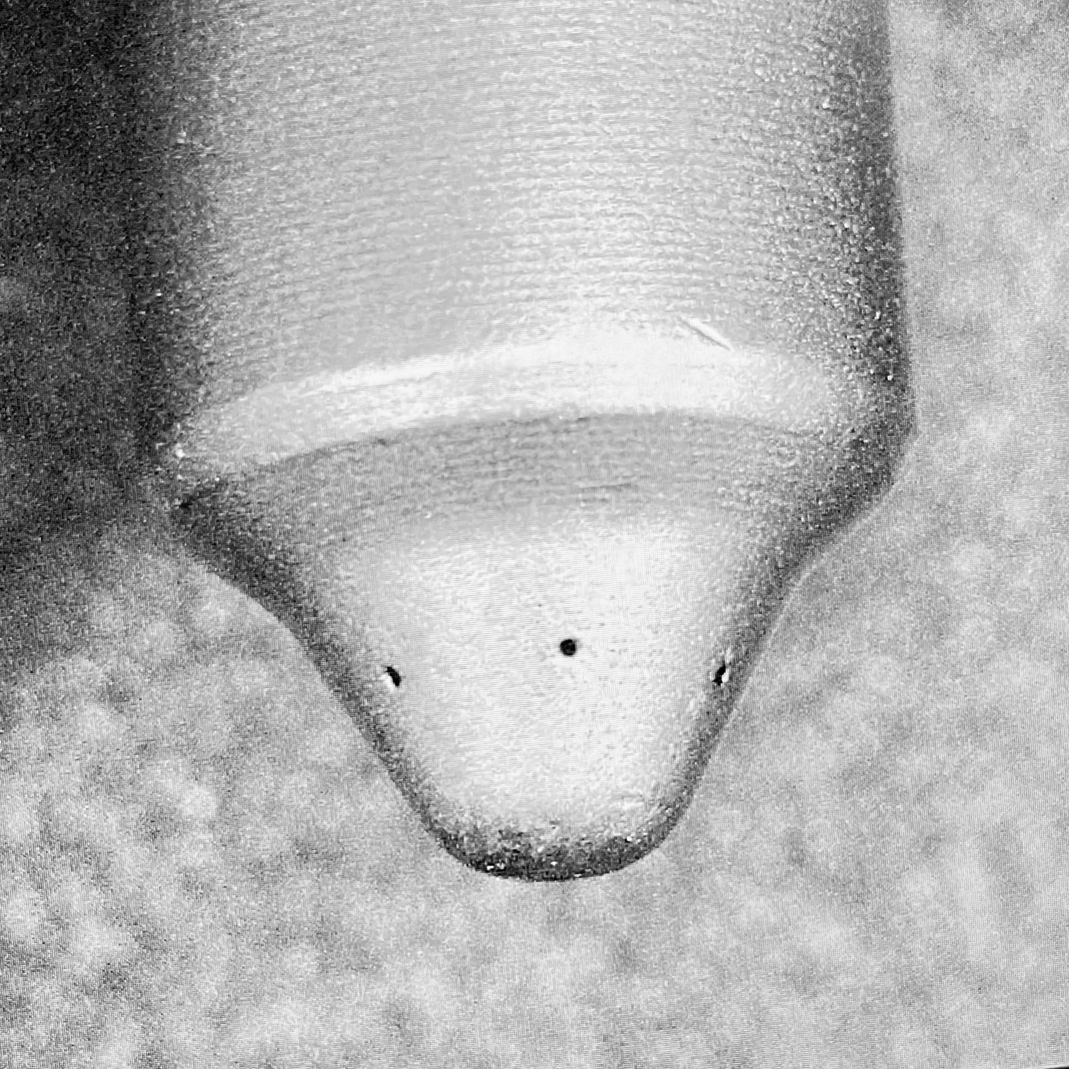 Nozzle for 7.3L HEUI Refitted